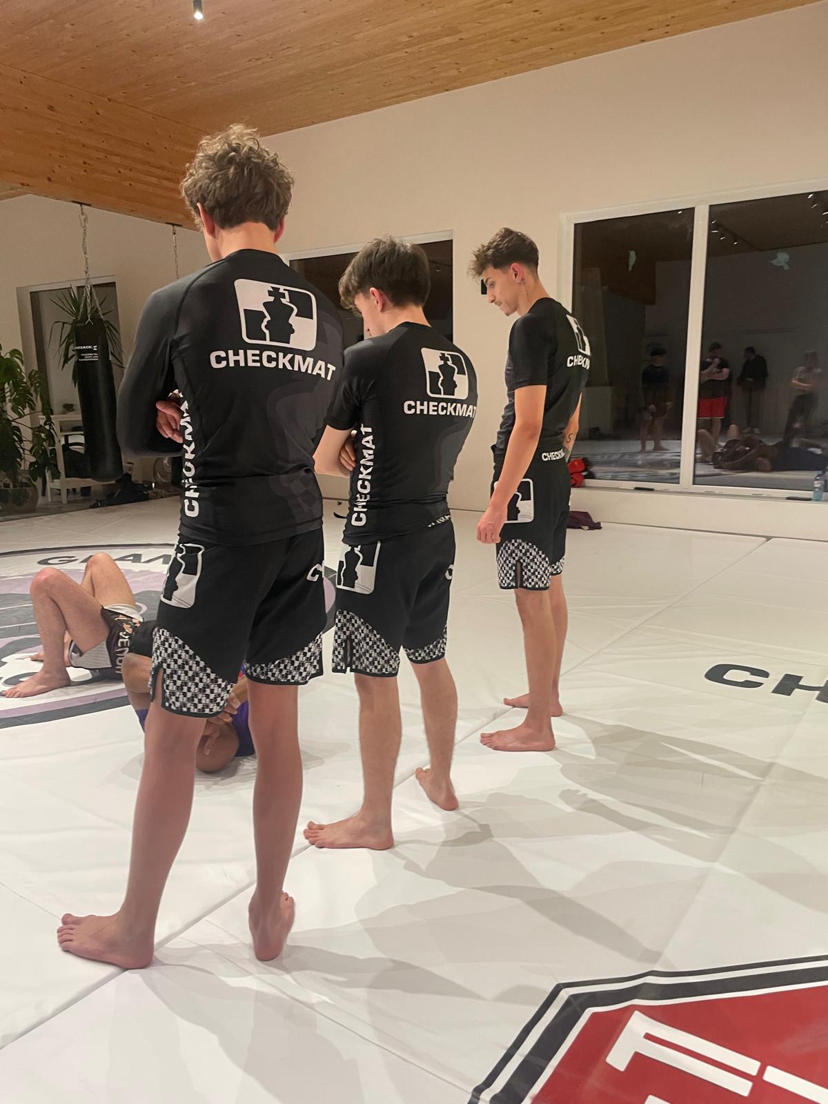 BJJ Training Foto